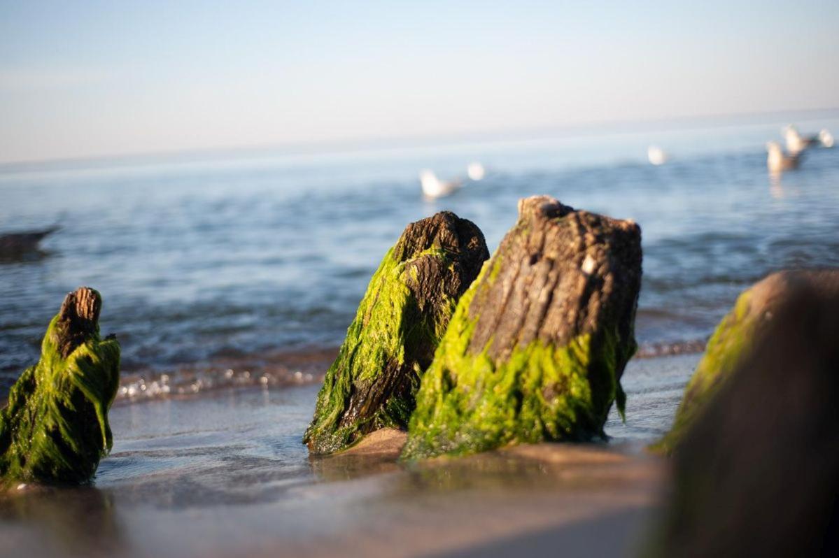 Hotel Jantar Wellness & Spa Ustka Dış mekan fotoğraf